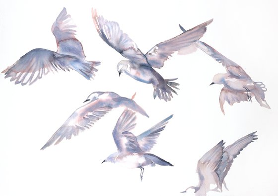 Swallows in Flight