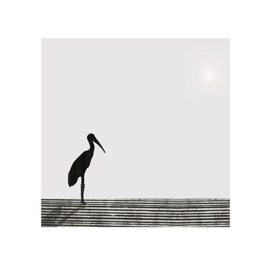 'Stork' 2015 (square)