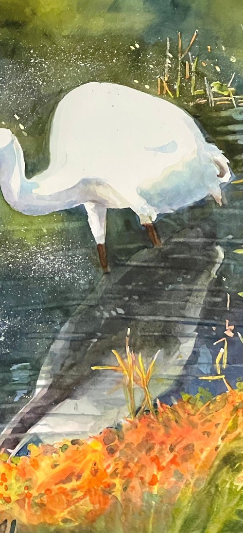 Shore Bird by Bronwen Jones