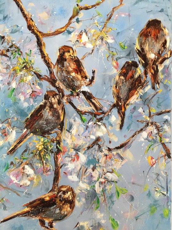 Sparrows