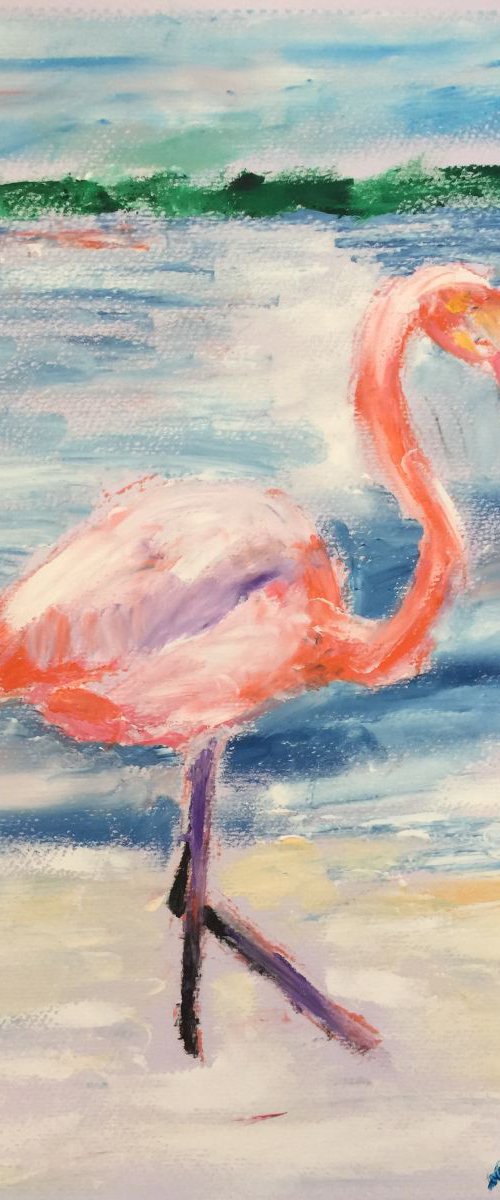 Flamingo by Ryan  Louder