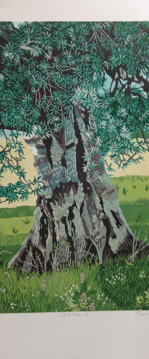 Olive Tree II by Rosalind Forster