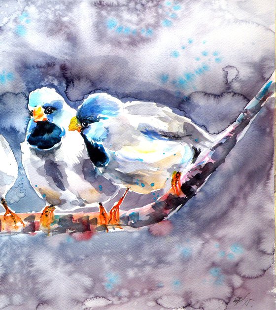 Talking birds -