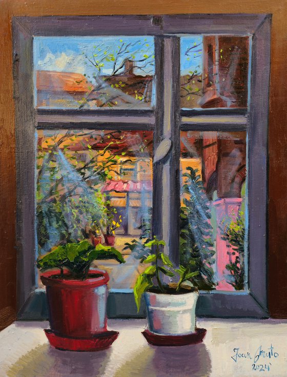 My window