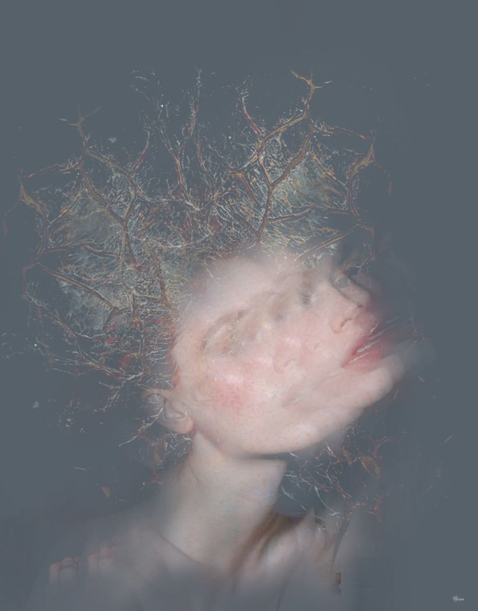 Illustrative Portrait Photograph By Bojan Jevtic, 34 X 43, Doe, Original Artwork