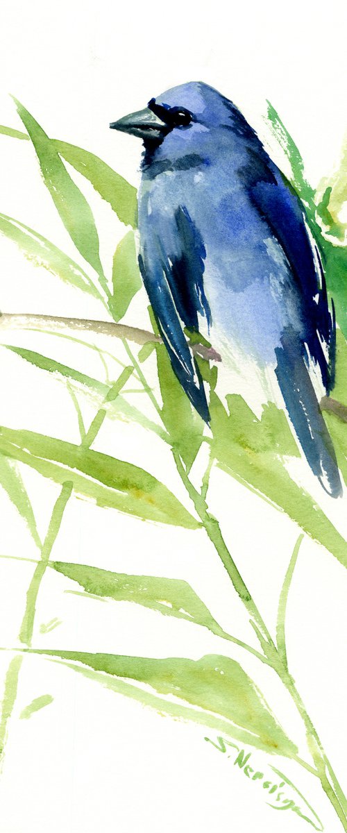 Indigo Bunting, Original watercolor painting by Suren Nersisyan