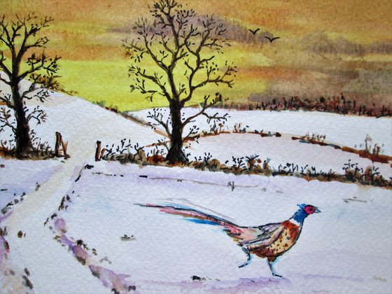 Pheasant Running in Sunset Field