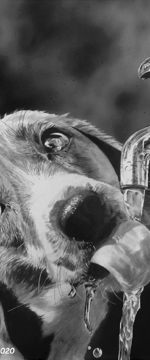 Max the Beagle by Julian Wheat