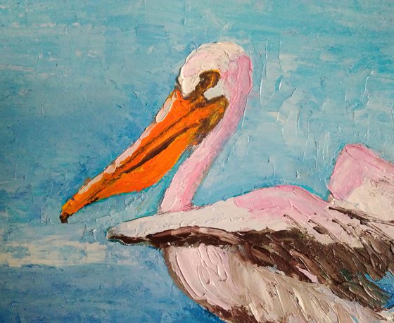 Pelican