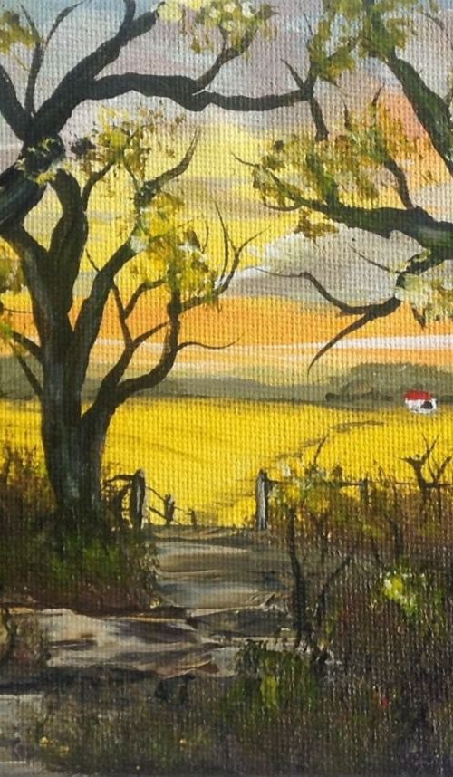 Yellow Rapeseed fields through the Woods by Marja Brown