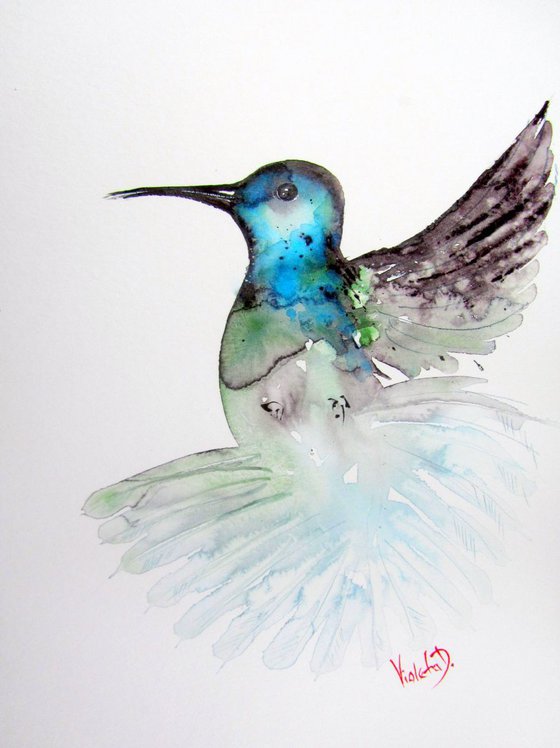 Hummingbird 13