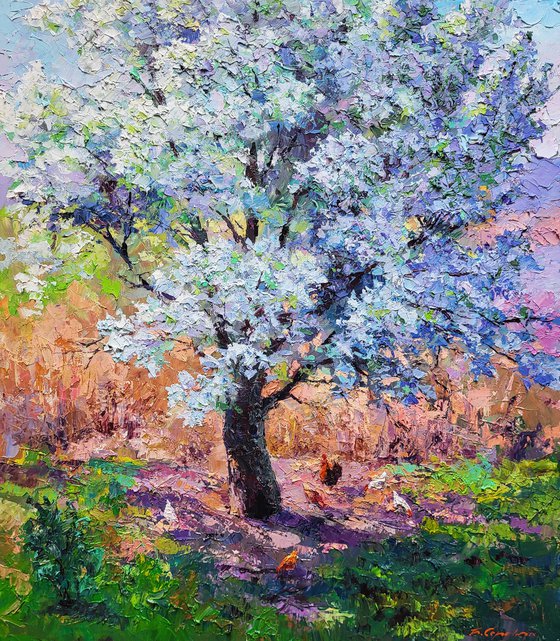 Pear blossoms