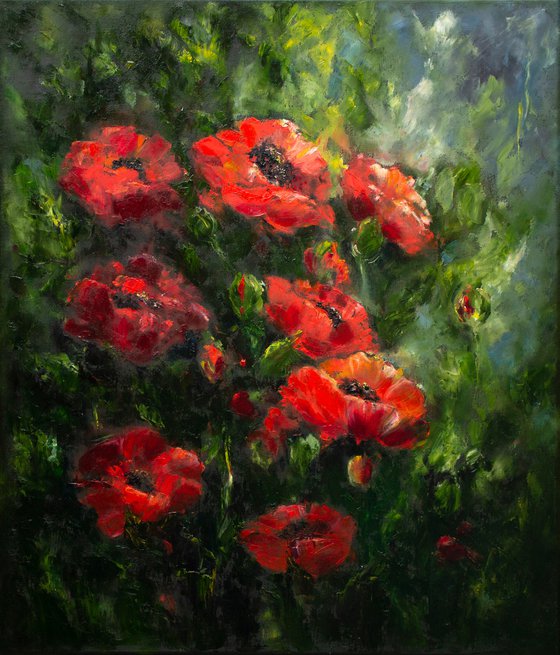 In love with poppies