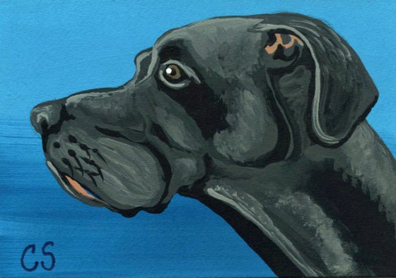 ACEO ATC Original Painting Black Great Dane Pet Dog Art-Carla Smale