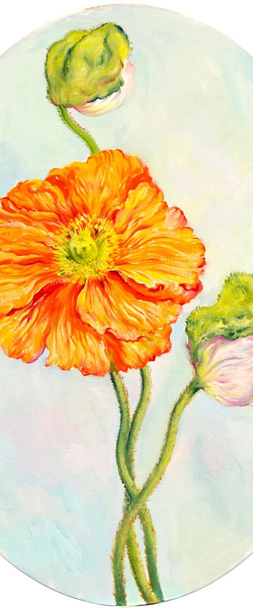 Poppies by Daria Galinski