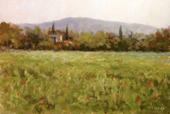 Landscape near Aix en Provence