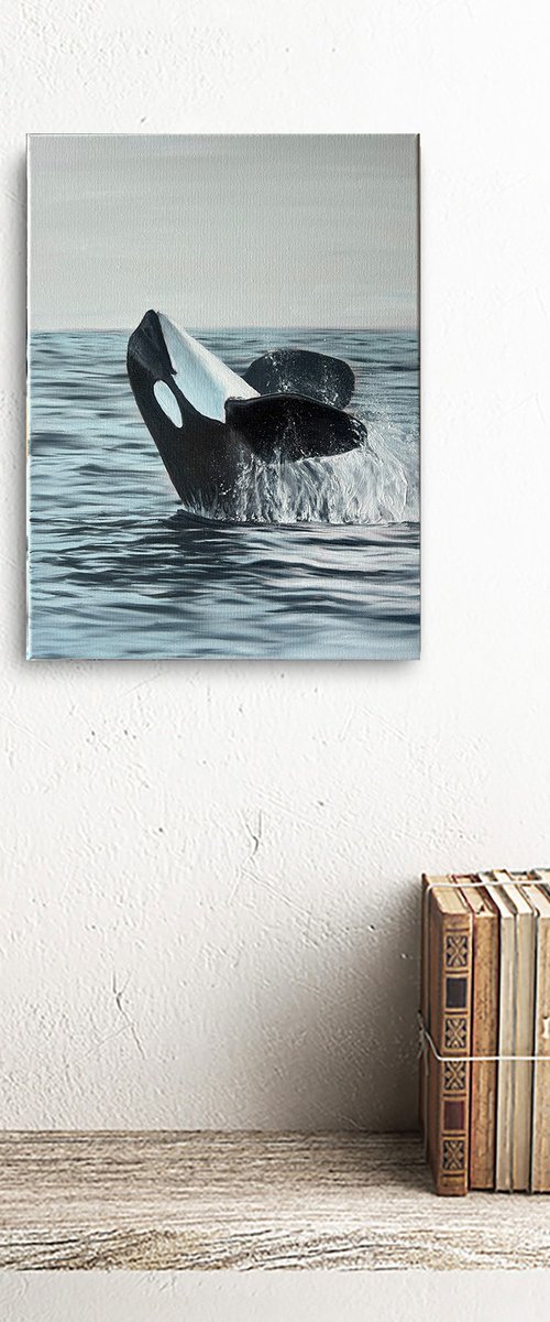Smiling Orca by Marina Zotova