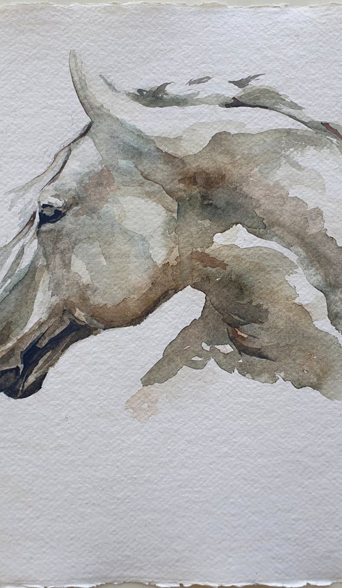 Wild Horse II by Andriana Fakinou