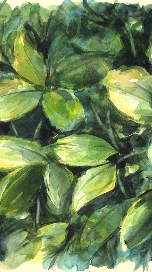 Foliage by Fabienne Monestier