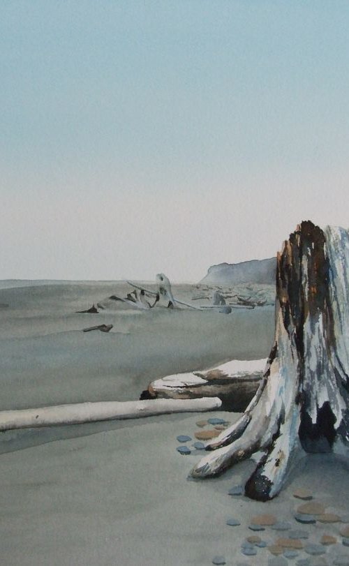 Old Stump by Silvie Wright