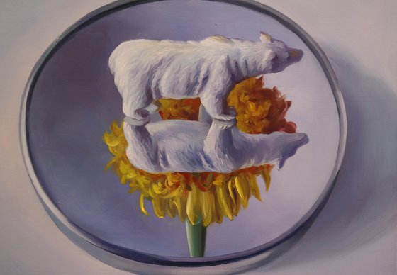"Polar chrysanthemum"