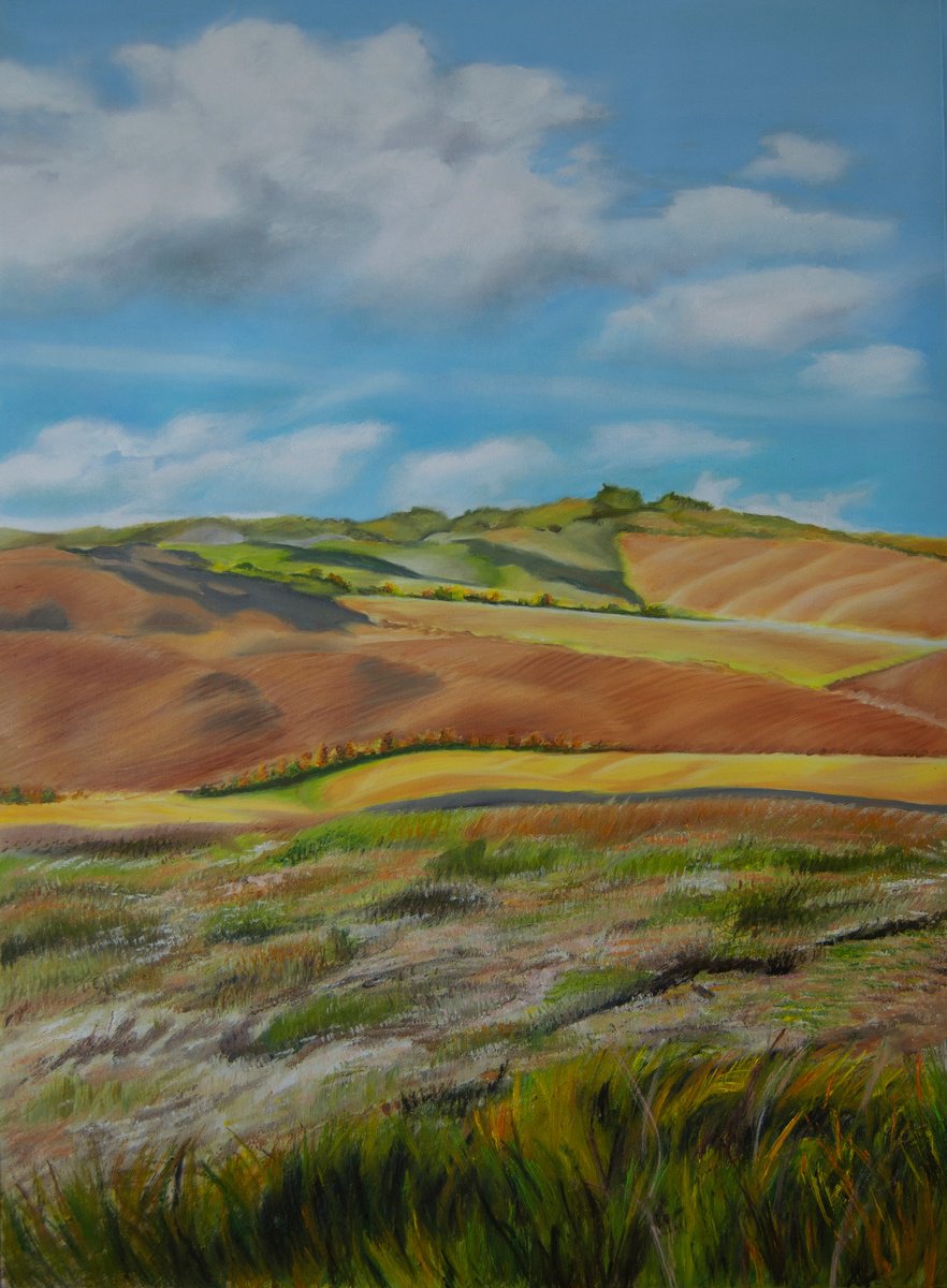 Impressionistic Landscape Oil Painting By Simona Tsvetkova, 20 X 28", Landscape, Original Artwork