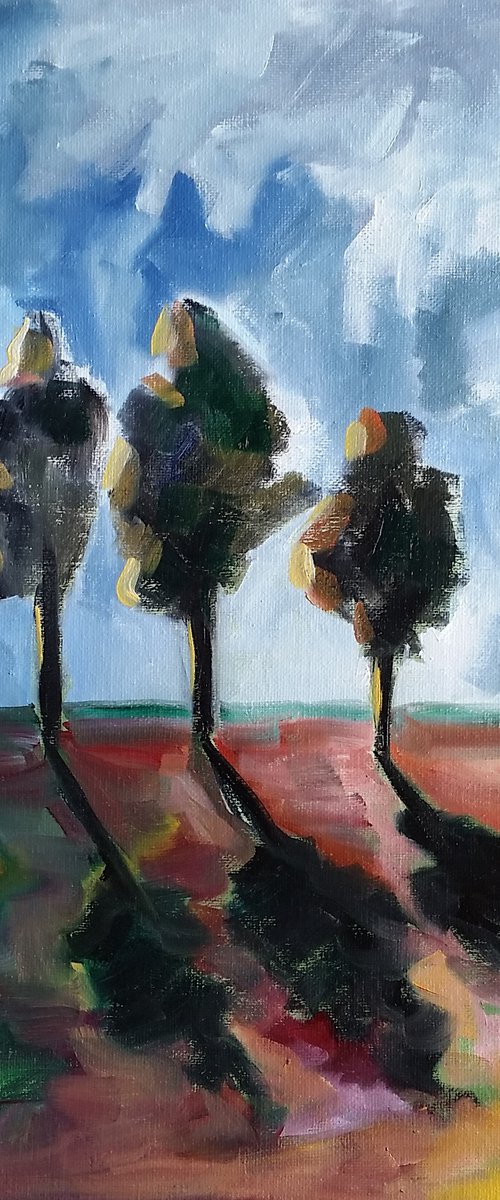 "Long Shadows of Morning" - Landscape - Trees - Contemporary by Katrina Case