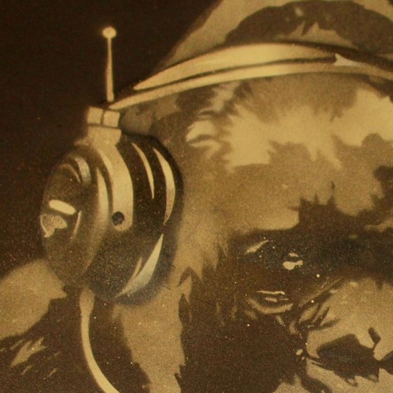 GORILLA IN THE GROOVE (HU)