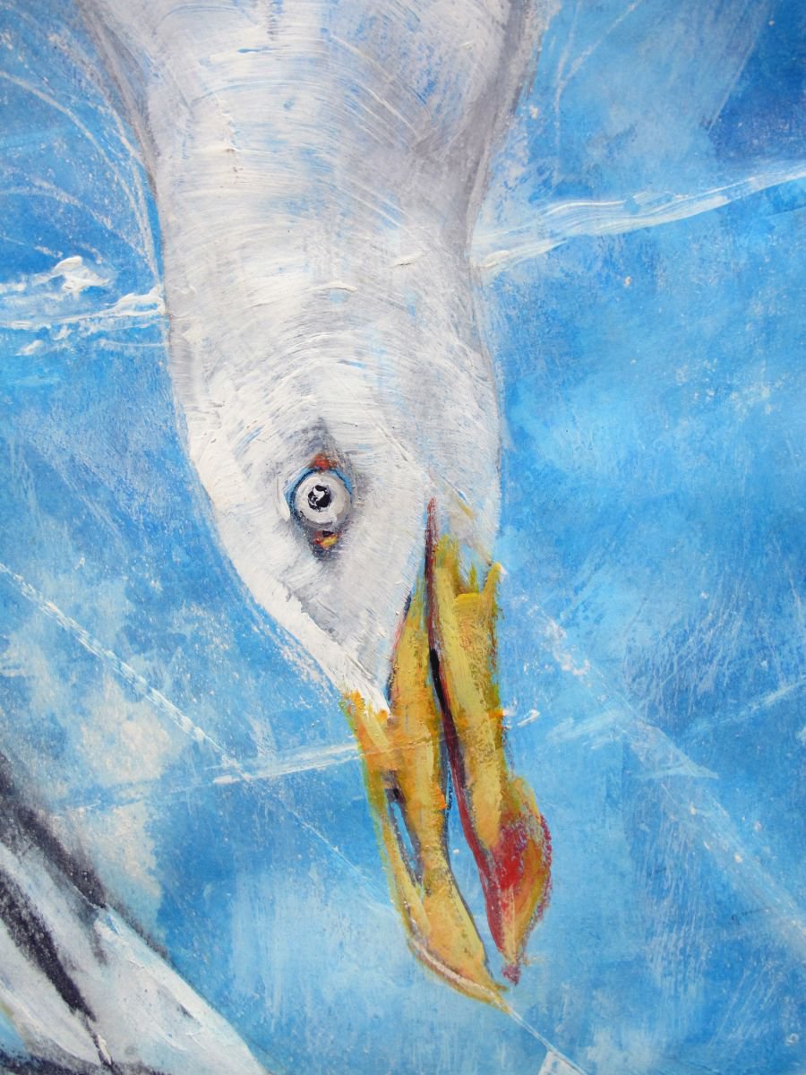 Gulls, contrails by John Sharp
