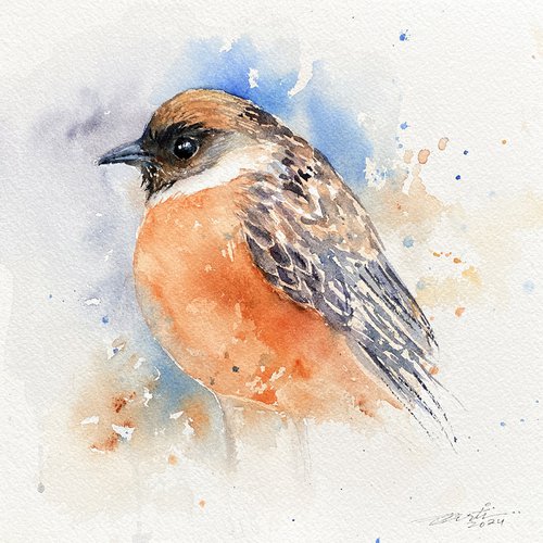 Stan the Stonechat by Arti Chauhan