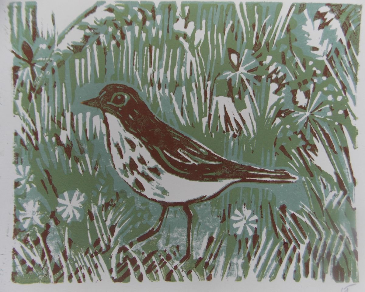 Song Thrush by Louise Thompson