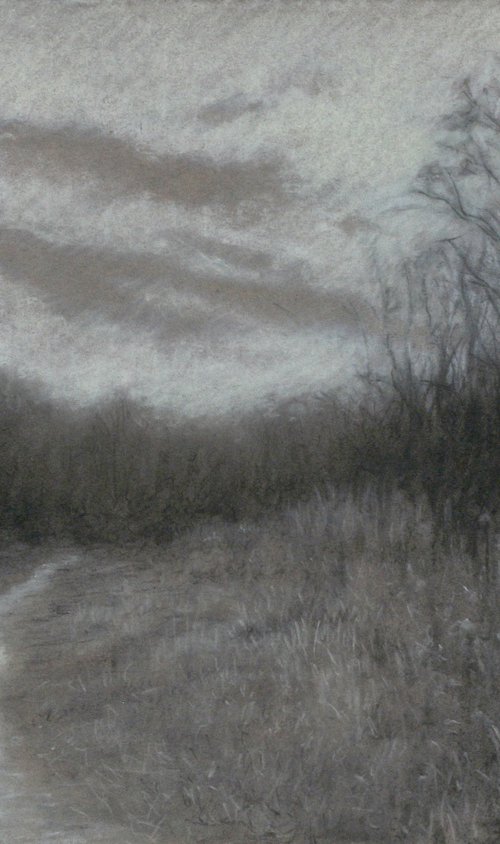 Path into the Woods – charcoal drawing by John Fleck