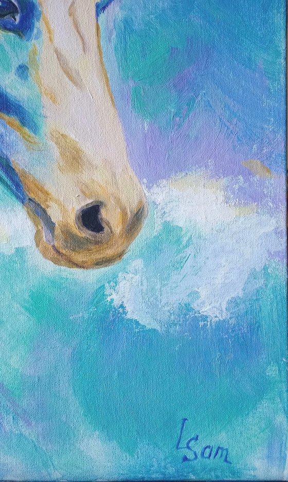 Turquoise Freedom