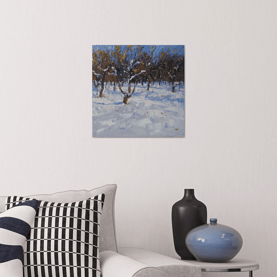 Winter apple garden