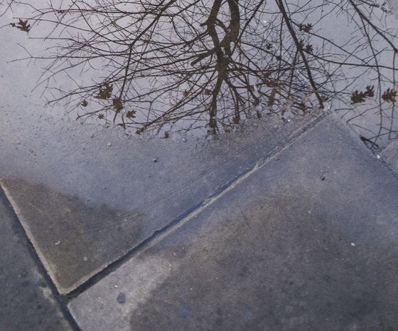 PUDDLE TREE LONDON  (LIMITED EDITION 1/200) 12" X 8"