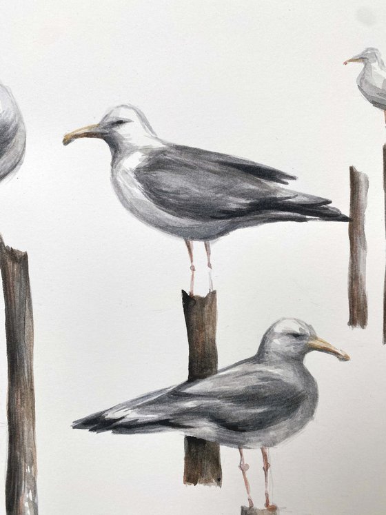 seagulls. One of a kind, original painting, handmade work, gift, watercolour art.