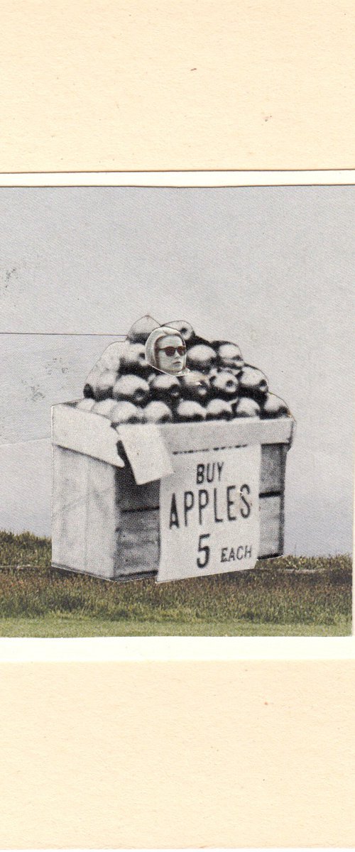 Buy apples $5 each by Jon Garbet