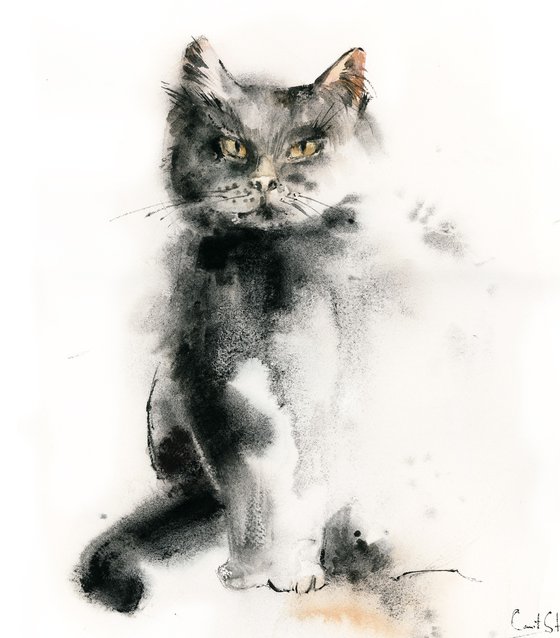 Cat