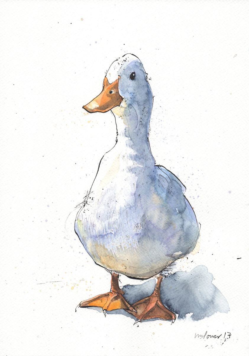 Curious White Duck Drawing Ink And Watercolour Ink Drawing By Luci Power Artfinder