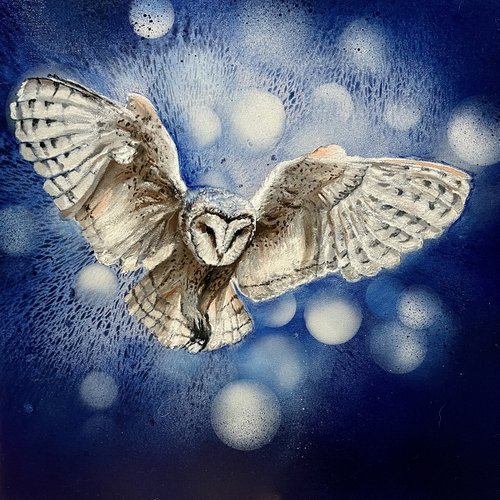 Bird #8 (owl 3) by Selene's Art