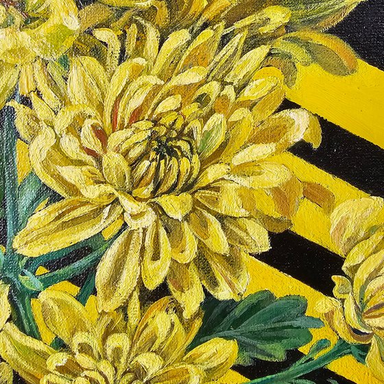 Rainbow Chrysanthemums