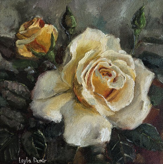 Yellow roses still life