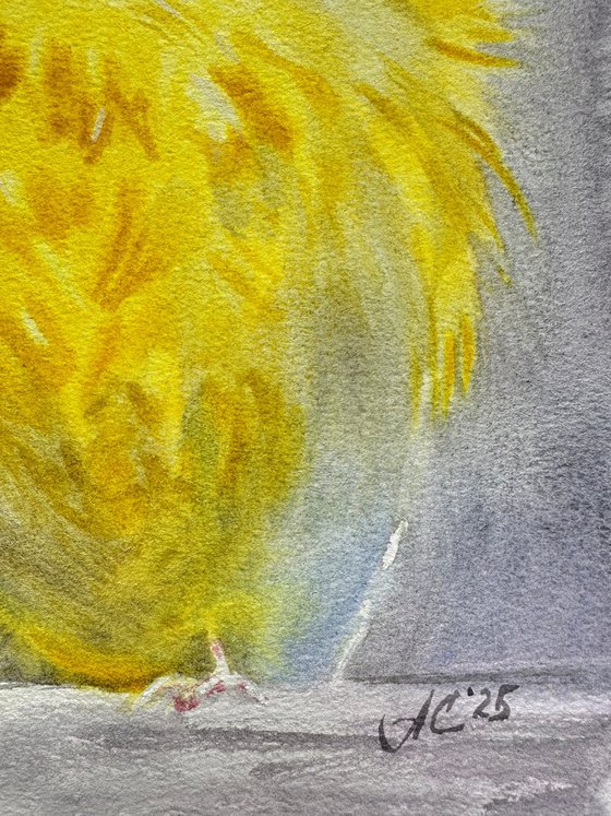 Canary