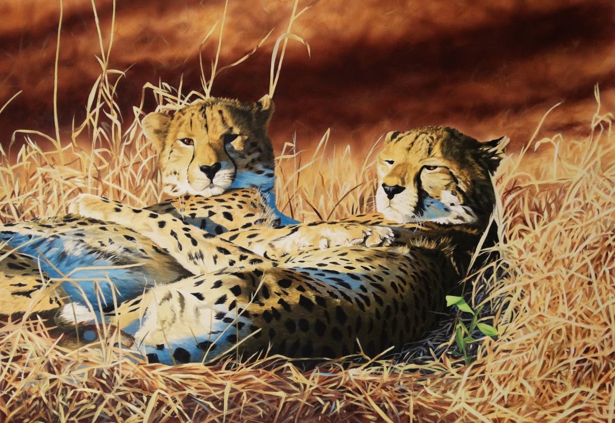 Photorealistic Animal Acrylic Painting By Julian Wheat, 30 X 20", Brotherly Love,Cheetahs, Original Artwork