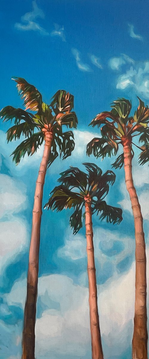 Palm trees and sky by Guzel Min