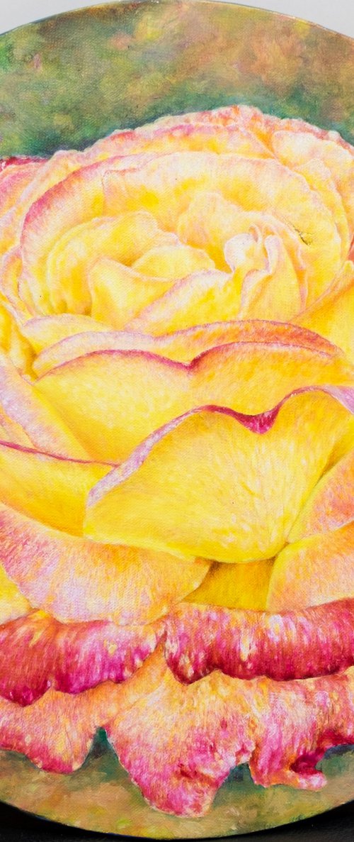 Golden Bloom by Anastasia Woron