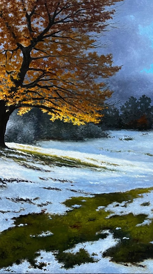 Winter sun by Oleg Baulin