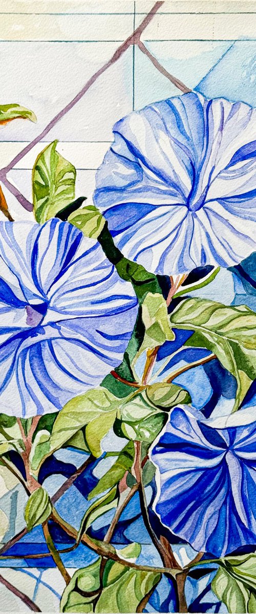 Morning Glory by Irina Kurganskaya