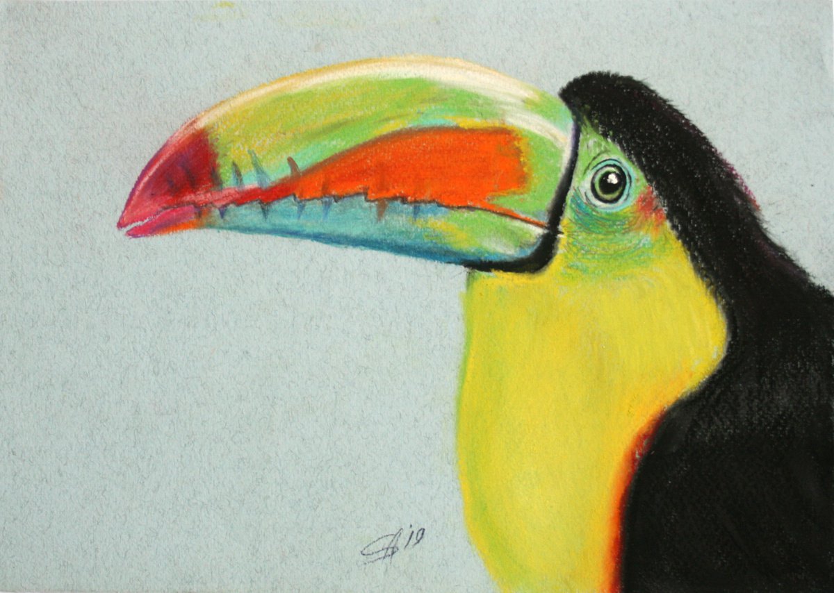 Rainbow Toucan /  ORIGINAL PAINTING by Salana Art Gallery