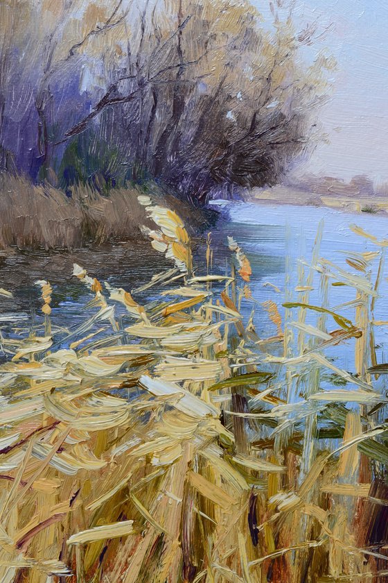 Last year's reeds